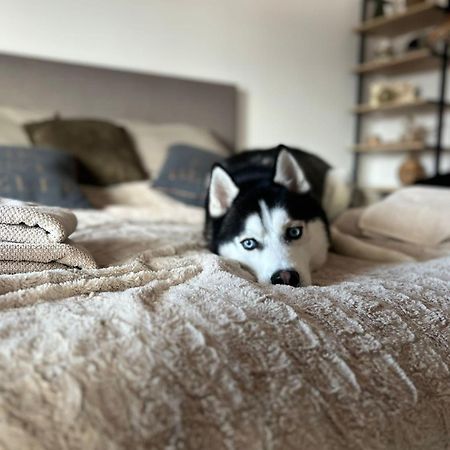 Apartman Freya Liptovsky Mikulas Luaran gambar