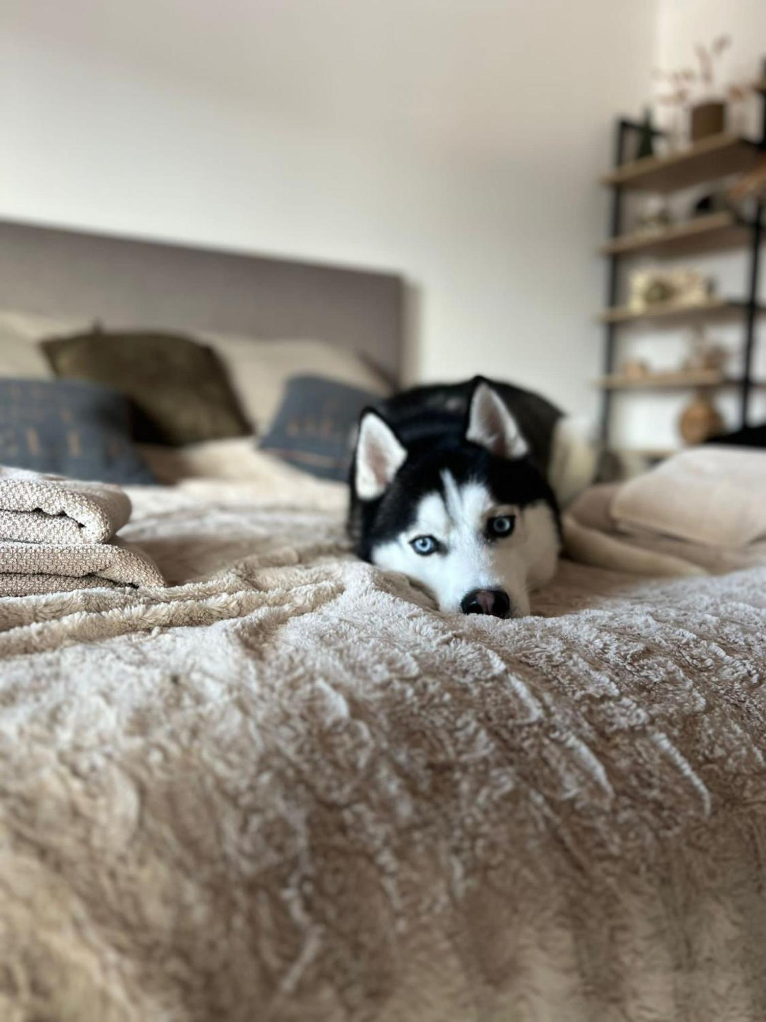 Apartman Freya Liptovsky Mikulas Luaran gambar